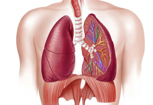 pulmonar